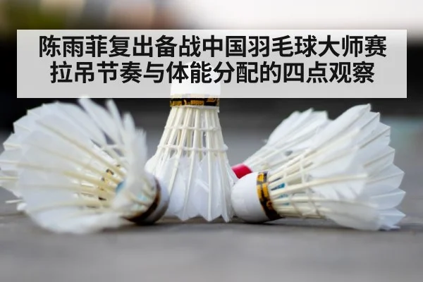 badminton court shuttlecock